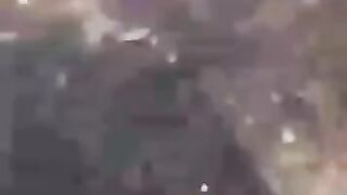 Пьяный водитель натравил на девушку бойцовую собаку.