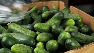 Готовлю сразу ящиками уже 5 лет!!! Хрустят громче чипсов и НИКОГДА не взрываются!