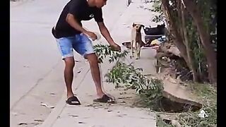 planta misteriosa _viral _mejoresbroma _broma