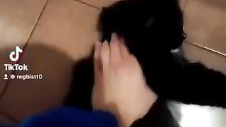 Смешные коты