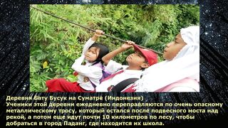 Через тернии к знаниям. Как дети из разных стран ходят в школу.