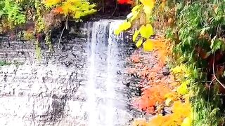 Water fall beauty
