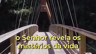 Motivaçaodiaria