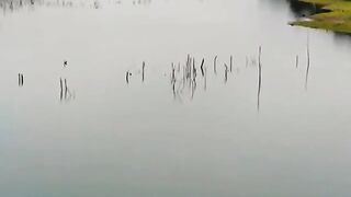 River beauty