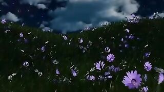 FLYING IN THE VISUAL TREAT