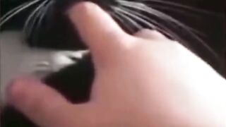 Funny Animals Mem