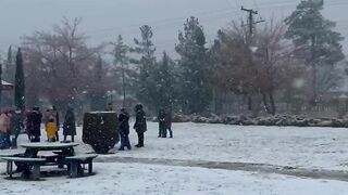 Snow Fall