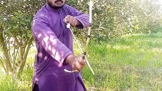 Ertugrul Ghazi Best Review