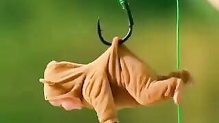 Very cute kid  video