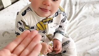 funny videos