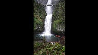 Amazing Nature Part-2