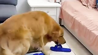 Funny ???? and talented video
