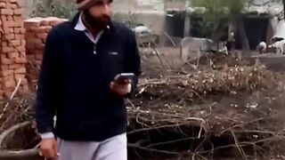 Funny goat reaction