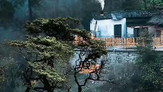 Beautiful House in the Forest