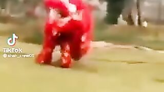 FunnyVideo0002