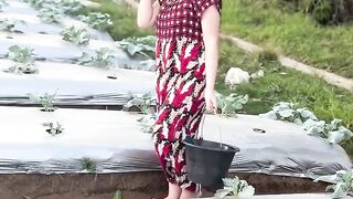 Petani cantik