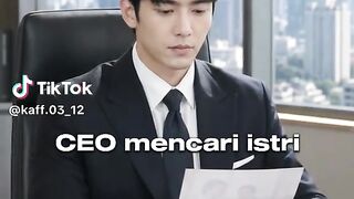 CEO Mencari Istri