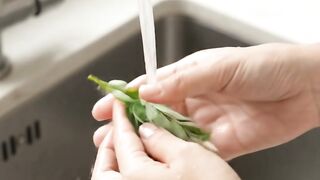 Manfaat daun saga buat kesehatan pencernaan