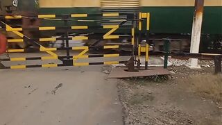 The Train That Keeps Passing... 🚂