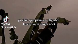 Pepeling sunda 2