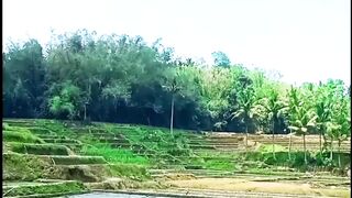 Echoes of Tradition in the Muddy Fields