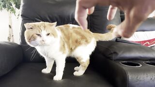 Looking precious for no reason
