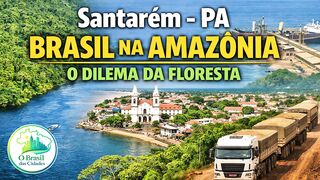 Como o Brasil ocupou a Amazônia e o dilema da floresta.