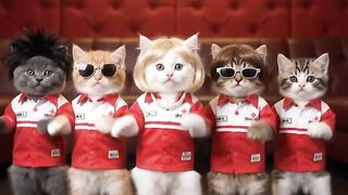 Cat dancer