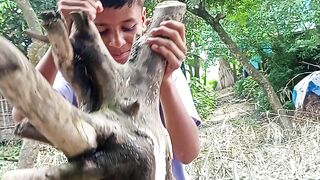ইন্ডিয়া থেকে মিশাইল আমদানি
