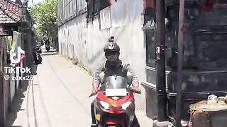 Bikin honar