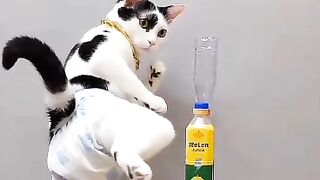 Practicing kung fu