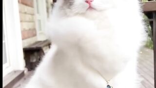 Beautiful caty