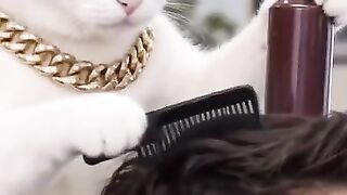 Haircut 5