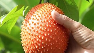 Alien-Looking Fruit Has a RED Surprise Inside!