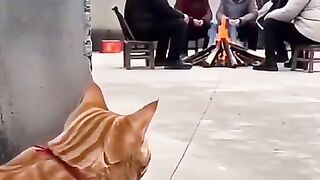 Oyen explodes firecrackers