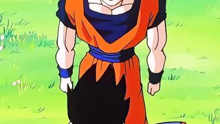 Son Goku 2