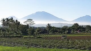 Pesona Keindahan Pagi Hari di Pedesaan dengan Latar Pemandangan Gunung yang Megah
