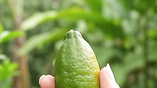 This Strange fruit is full of Tiny Juice Pearls