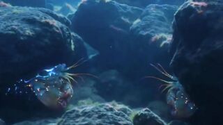 2 Strange Shrimps Compete Against Each Other! 😱 Who Is the Ruler of This Territory?