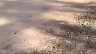 DINHEIRO PÚBLICO PARADO: Cleitinho flagra maquinário sem entrega em MG