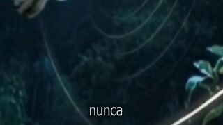 Animales qie ven por las noches