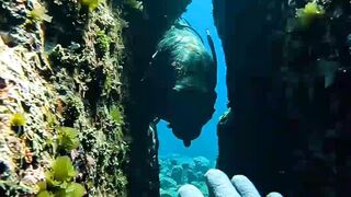 A Giant Creature Emerged From This Shipwreck… 👀🌊