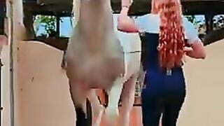 This is what unconditional love looks like❤️#fyp #horse #love #animalslover.mp4