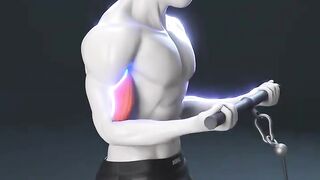 💪 Understand the Difference Between Each Cable Curl Grip
