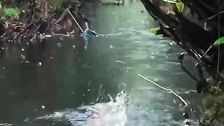Caught a MONSTER Fish in This Remote Jungle River!*