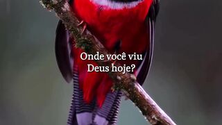 Boa noite Deus 2