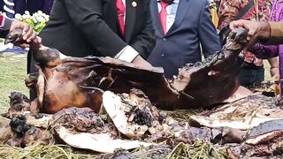Pig Cutting