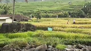 Nature’s Beautiful Paradise