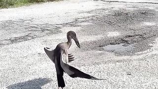Even a bird prays diligently. 😇