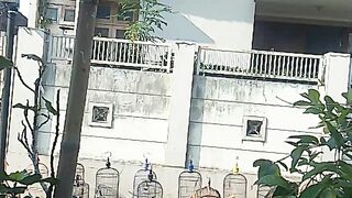 Penjemuran burung